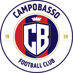 皮内托